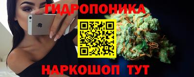 крисы Пыть-Ях