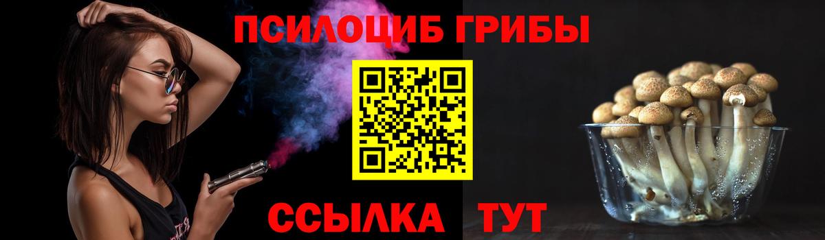 Псилоцибиновые грибы мухоморы  Вход с VPN  сколько стоит  Орск 